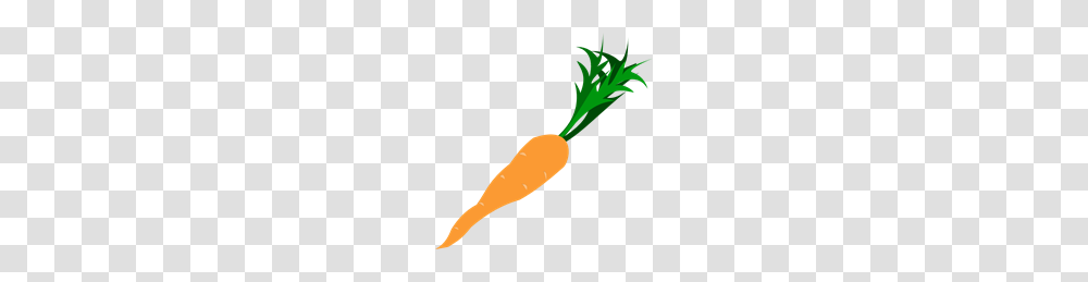 Carrot Clip Art Free Images Clipart, Plant, Vegetable, Food Transparent Png