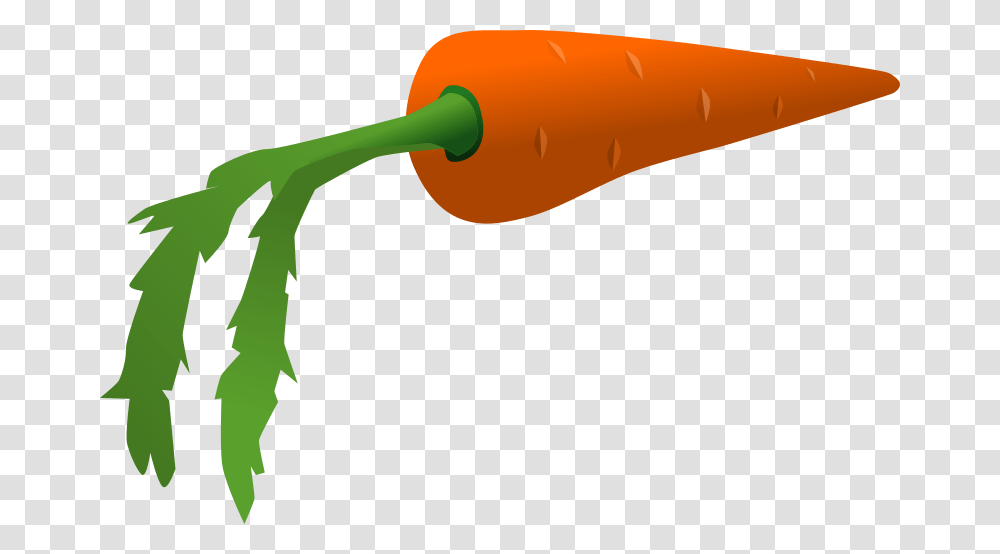 Carrot Clip Art, Plant, Vegetable, Food, Vegetation Transparent Png