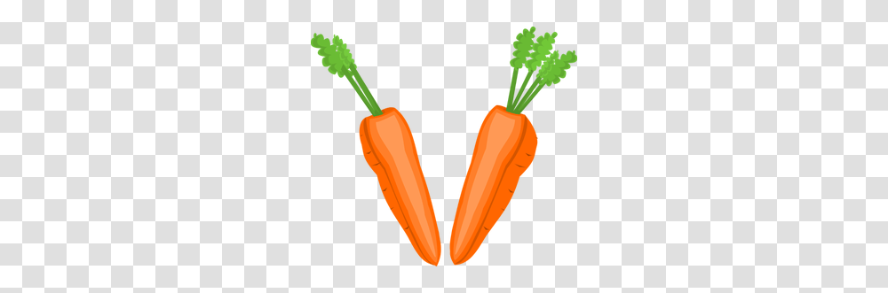 Carrot Clip Art Vector, Plant, Vegetable, Food Transparent Png