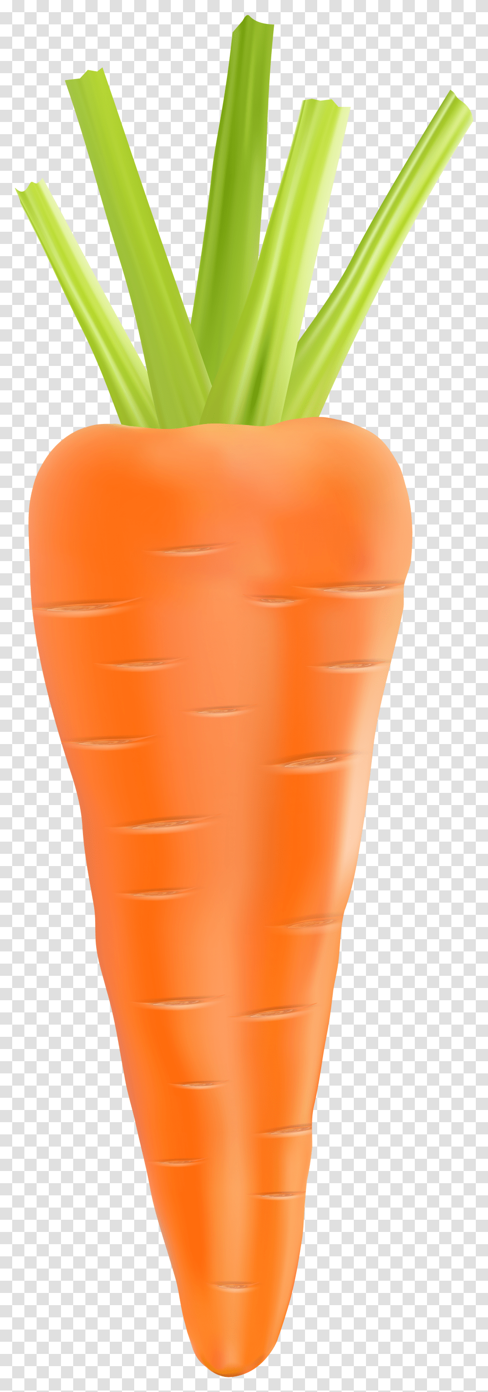 Carrot Clipart Background Carrot Transparent Png