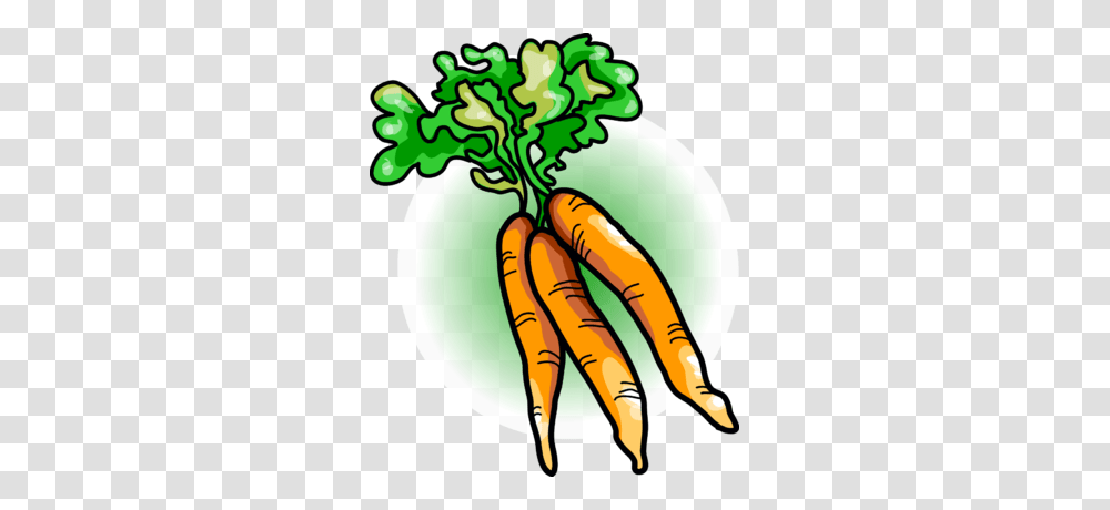 Carrot Clipart, Plant, Vegetable, Food, Root Transparent Png