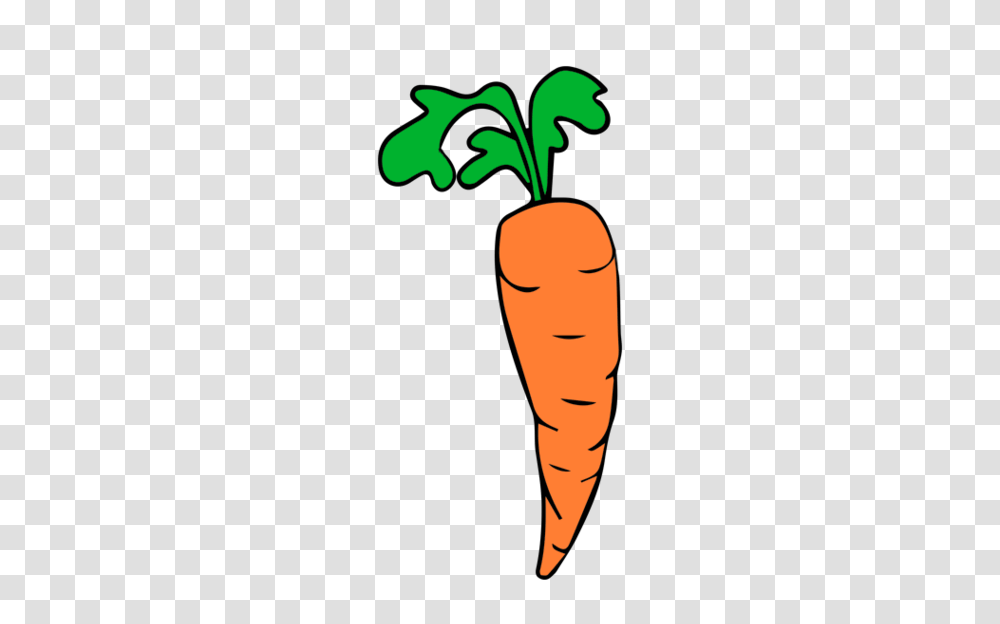 Carrot Cliparts, Vegetable, Plant, Food, Person Transparent Png