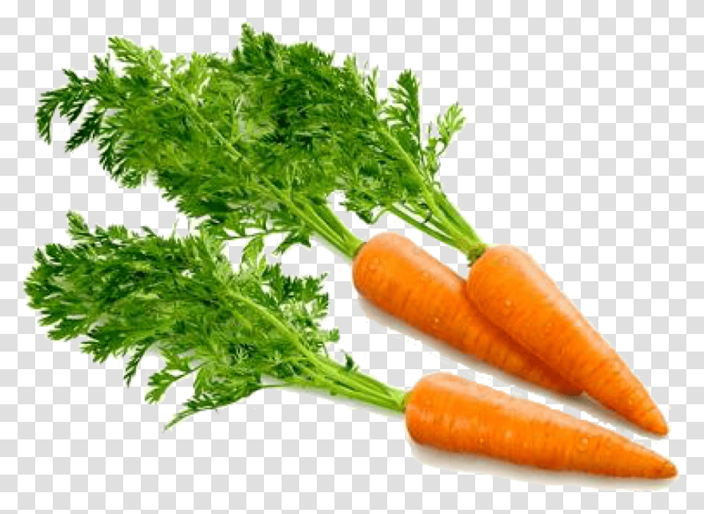 Carrot Computer Icons Clip Art Carrots, Plant, Vegetable, Food Transparent Png