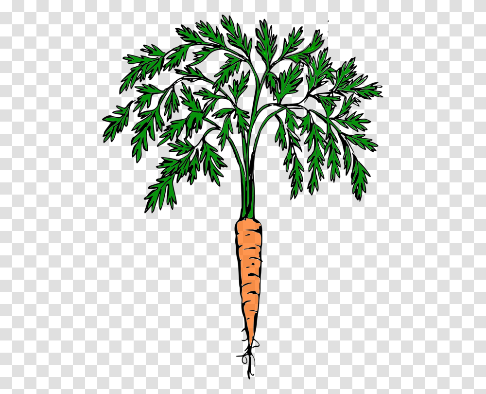 Carrot Download Vegetable Snowman Computer Icons, Plant, Food, Root Transparent Png