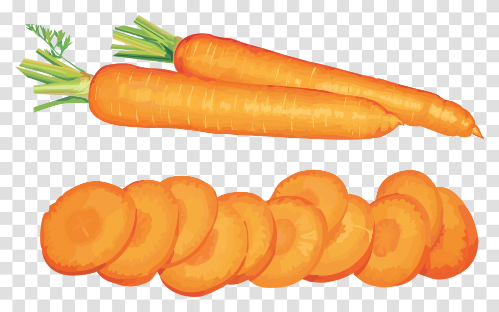 Carrot File Vegetables Clip Art, Plant, Food, Hot Dog Transparent Png