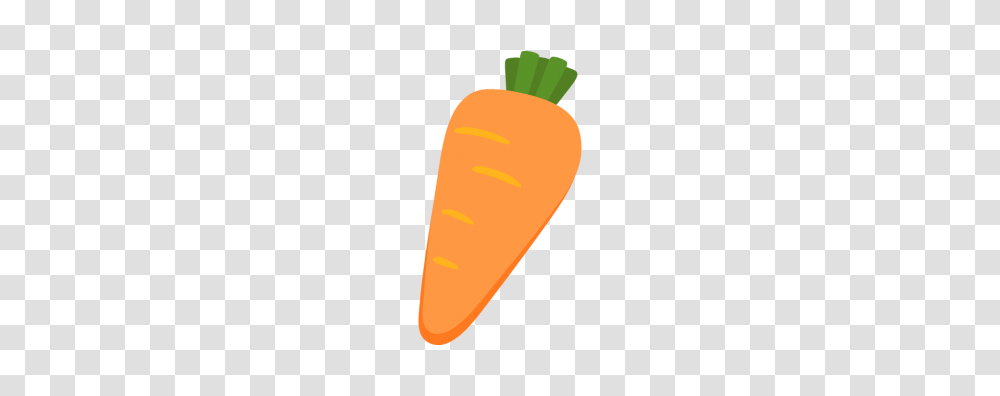 Carrot Free And Vector, Plant, Vegetable, Food Transparent Png