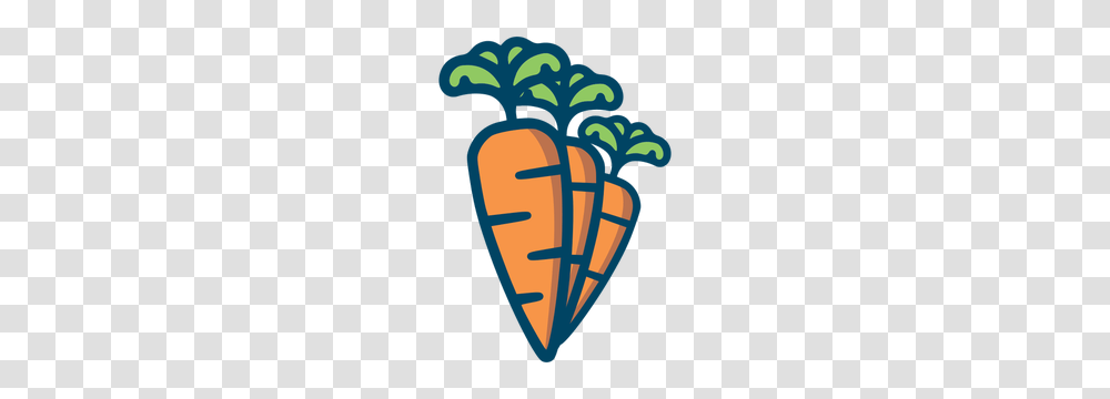 Carrot Free Clipart, Plant, Vegetable, Food, Poster Transparent Png