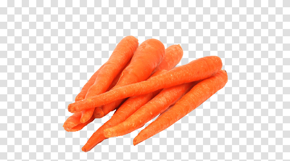 Carrot Free Download Carrots, Plant, Vegetable, Food, Rose Transparent Png