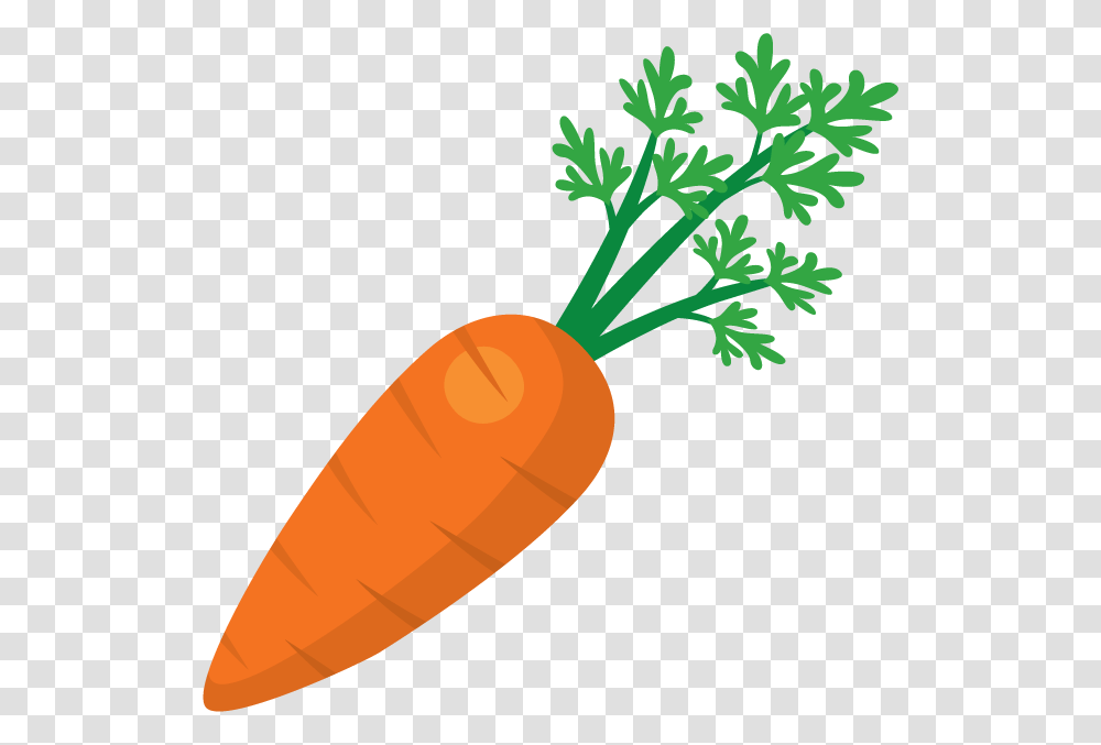 Carrot Free Images Only, Plant, Vegetable, Food, Dynamite Transparent Png