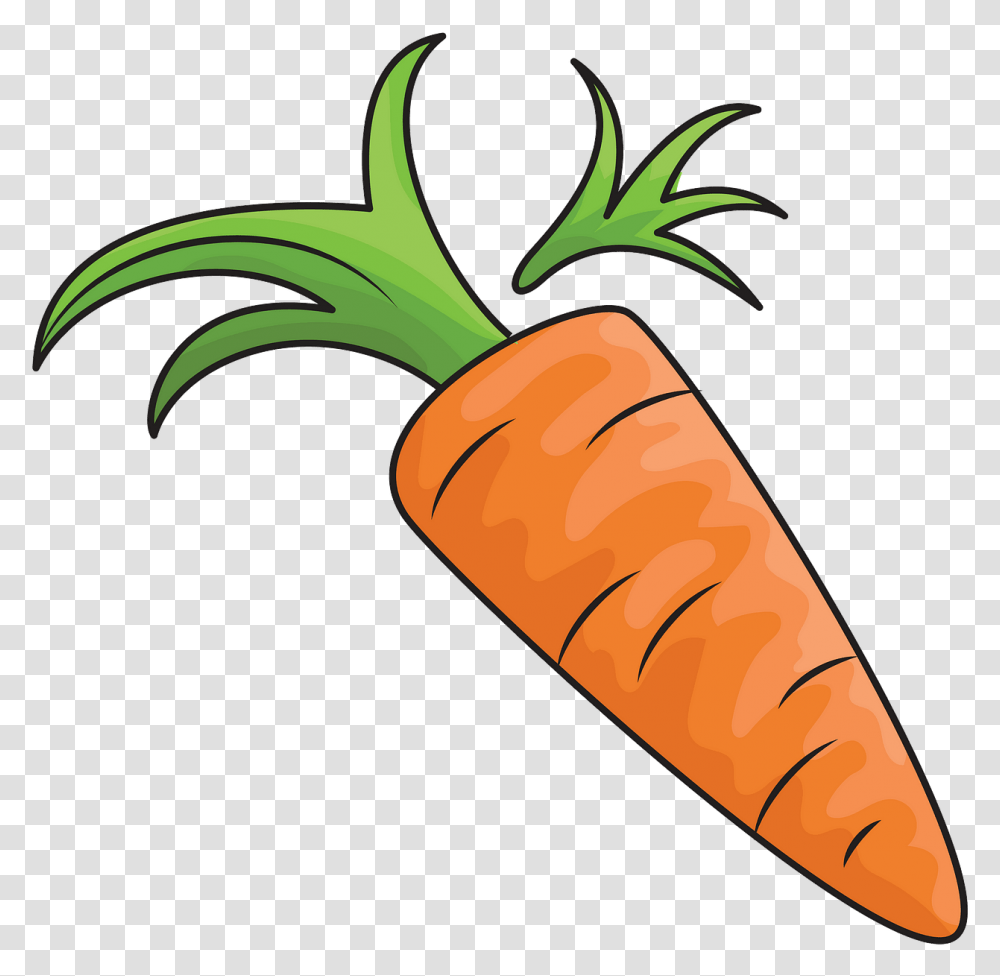Carrot, Hammer, Tool, Plant, Vegetable Transparent Png