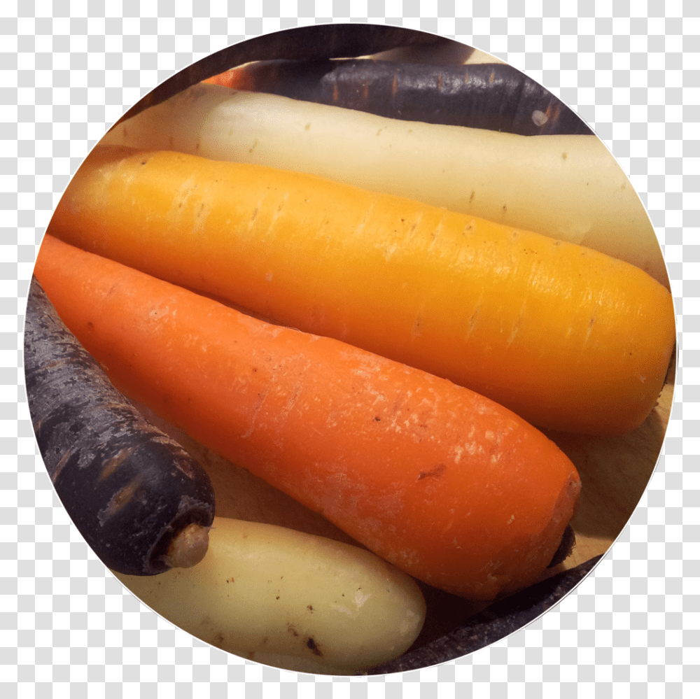 Carrot, Hot Dog, Food, Plant, Vegetable Transparent Png