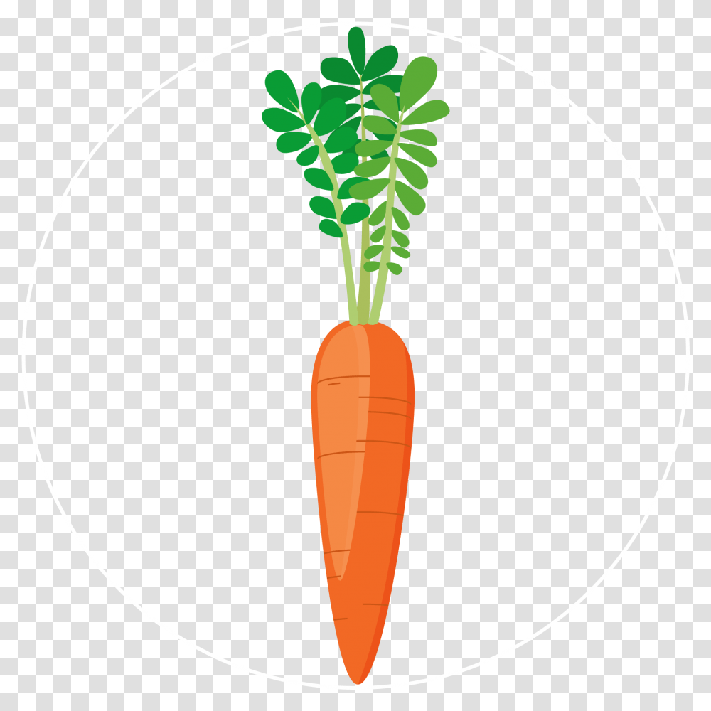 Carrot Icon Baby Carrot, Plant, Vegetable, Food Transparent Png