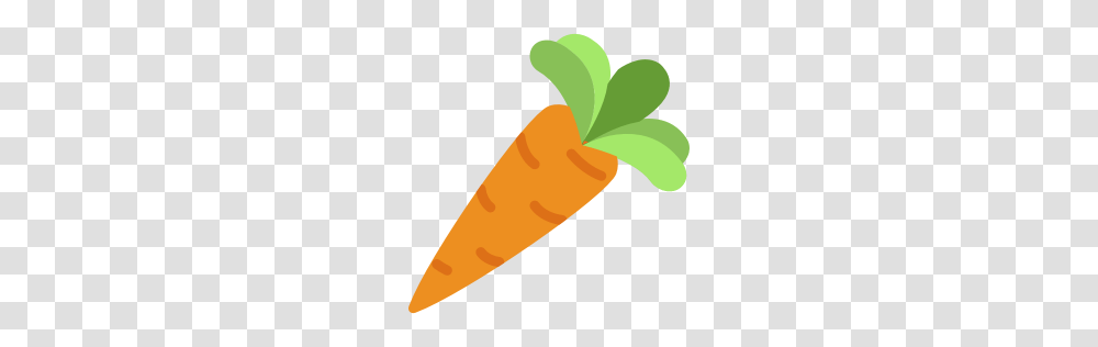 Carrot Icon Myiconfinder, Plant, Vegetable, Food Transparent Png