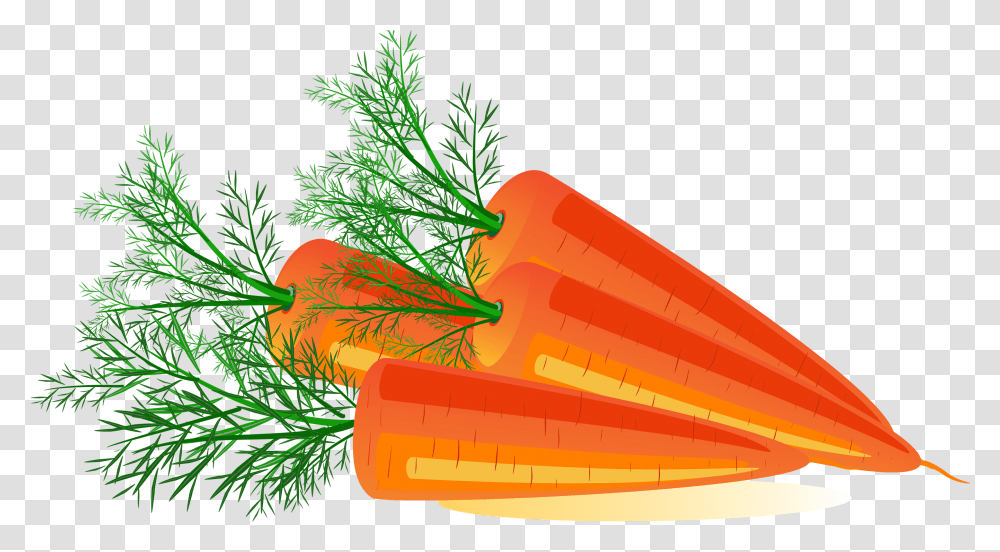 Carrot Image Carrots Clipart, Plant, Food, Bird, Animal Transparent Png