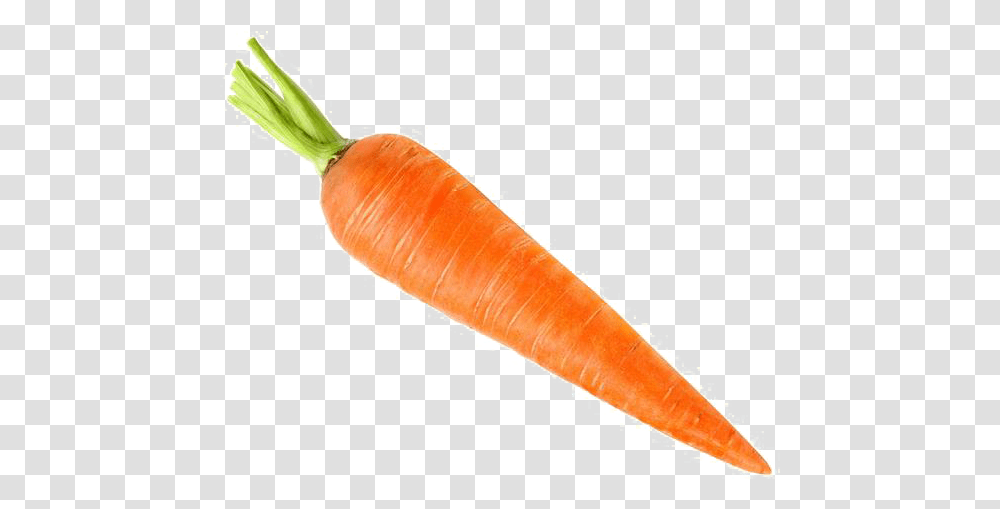 Carrot Images Free Download Background, Plant, Vegetable, Food, Axe Transparent Png