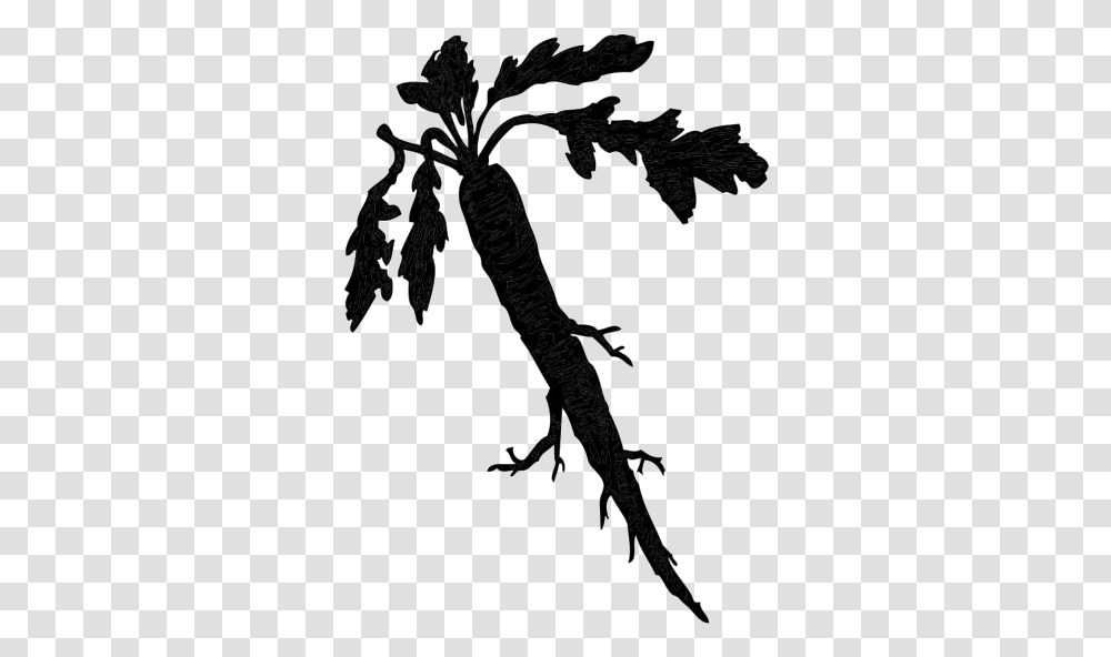 Carrot Images Horseradish Clipart, Plant, Root, Tree, Vegetable Transparent Png