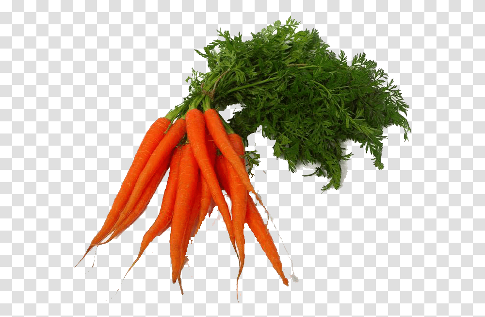 Carrot Images Vegetable Photo, Plant, Food, Root Transparent Png