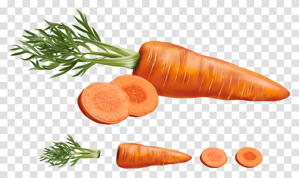 Carrot Juice Vegetable Carrots Realistic Carrot Vector, Plant, Food, Fungus, Root Transparent Png