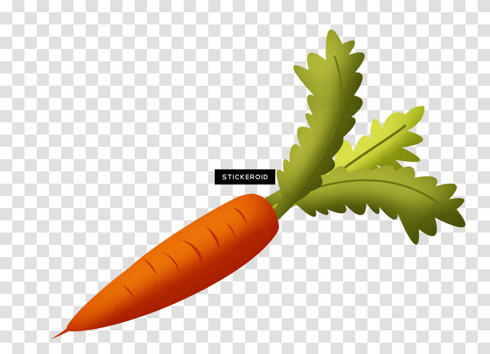 Carrot, Leaf, Plant, Dynamite, Bomb Transparent Png