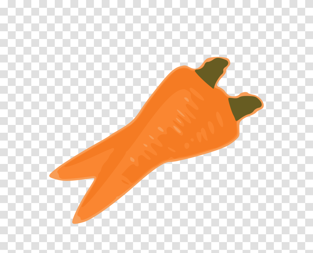 Carrot Nose Computer Icons Vegetable Drawing, Animal, Sea Life, Food, Ketchup Transparent Png