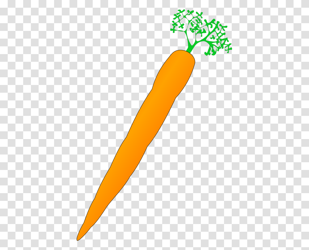 Carrot Nose Vegetable Drawing Computer Icons, Plant, Food Transparent Png