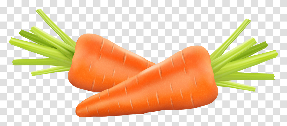 Carrot Photography Euclidean Vector Clip Art Carrot Illustration, Plant, Vegetable, Food, Ketchup Transparent Png