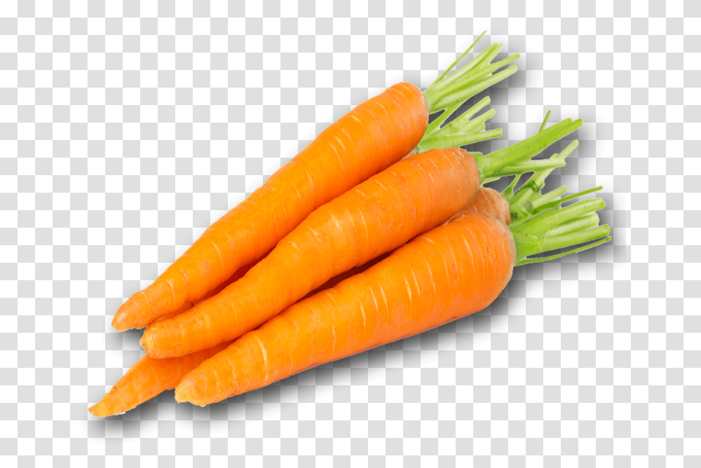 Carrot Pic Carrot, Plant, Vegetable, Food, Hot Dog Transparent Png
