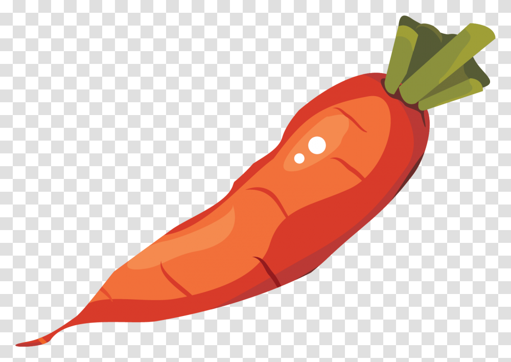 Carrot, Plant, Food, Vegetable, Ketchup Transparent Png