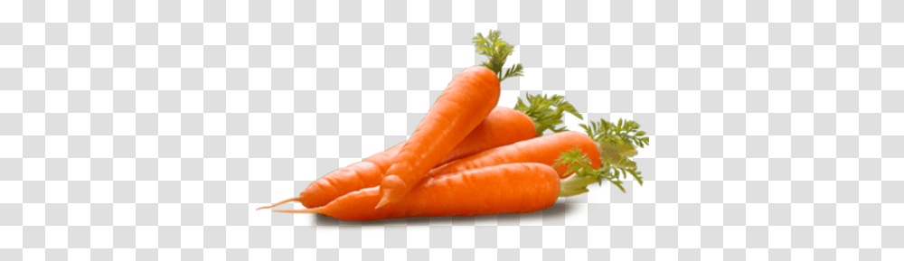 Carrot, Plant, Vegetable, Food, Hot Dog Transparent Png