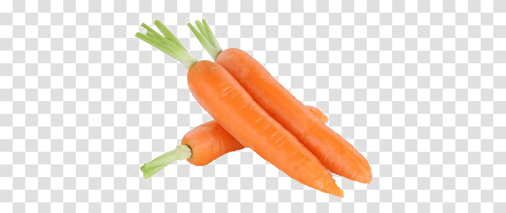 Carrot, Plant, Vegetable, Food, Person Transparent Png