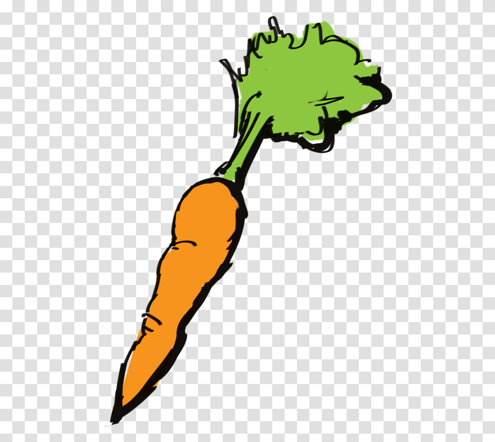 Carrot, Plant, Vegetable, Food, Produce Transparent Png