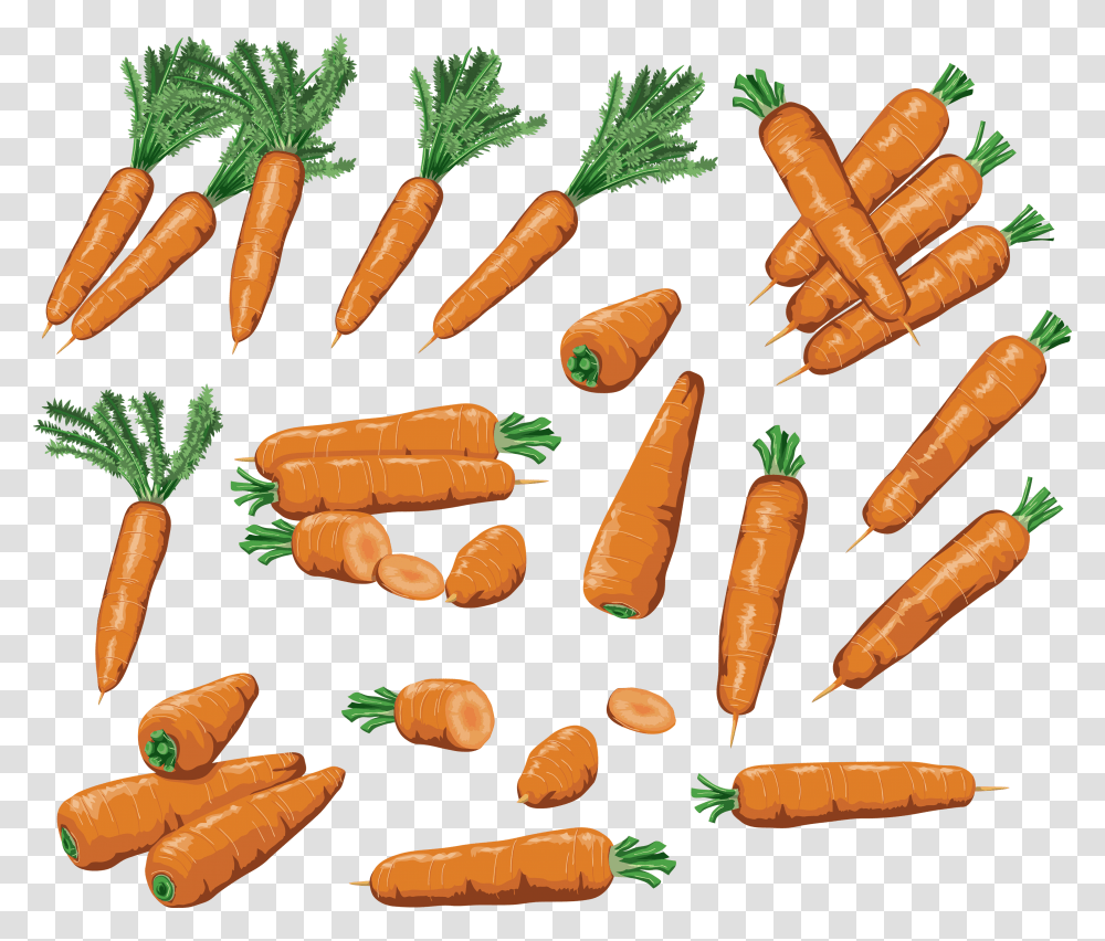 Carrot, Plant, Vegetable, Food, Root Transparent Png
