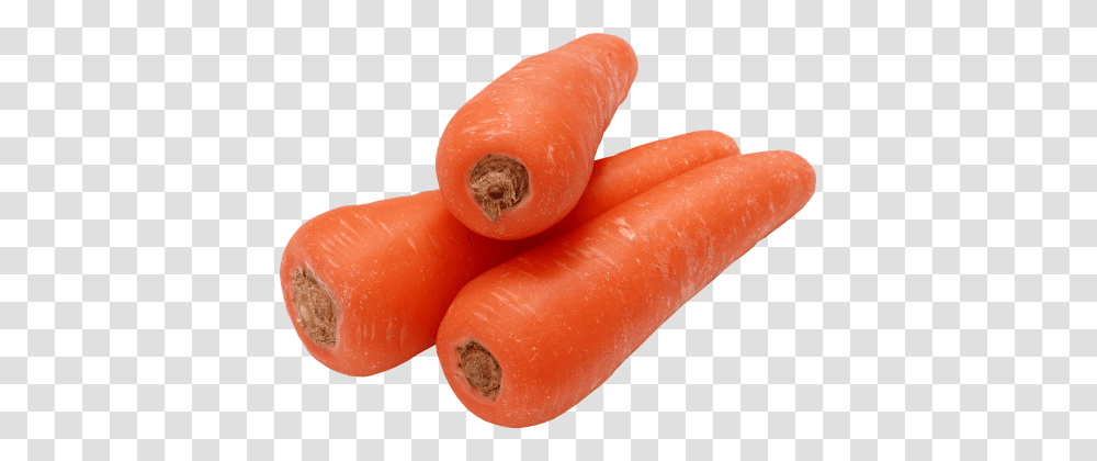 Carrot, Plant, Vegetable, Food Transparent Png