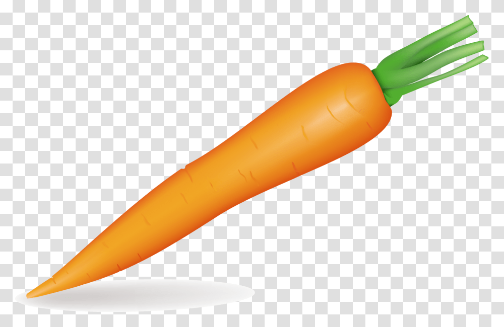 Carrot, Plant, Vegetable, Food Transparent Png