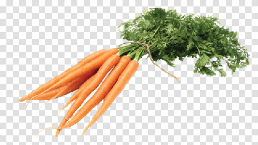 Carrot, Plant, Vegetable, Food Transparent Png