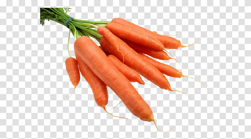 Carrot Radish Gratis Carrots, Vegetable, Plant, Food, Person Transparent Png