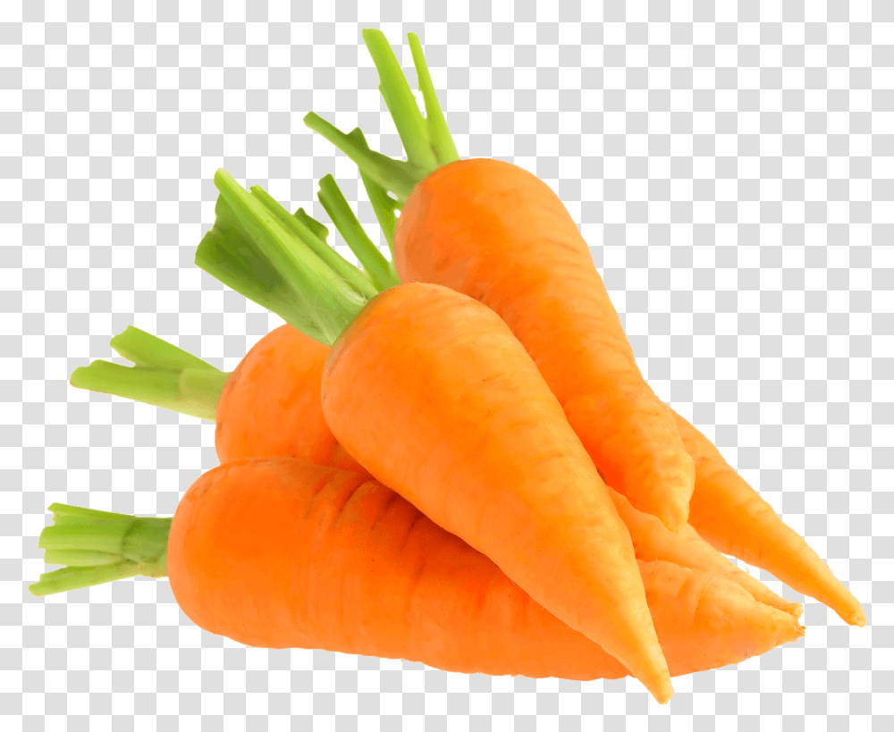Carrot - Flower Board Baby Carrot, Plant, Vegetable, Food, Fungus Transparent Png