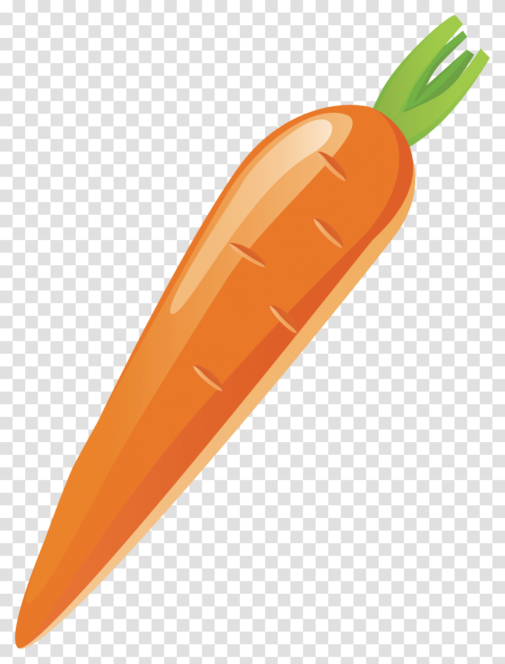 Carrot Vector Carrot Vector, Vegetable, Plant, Food, Baseball Bat Transparent Png