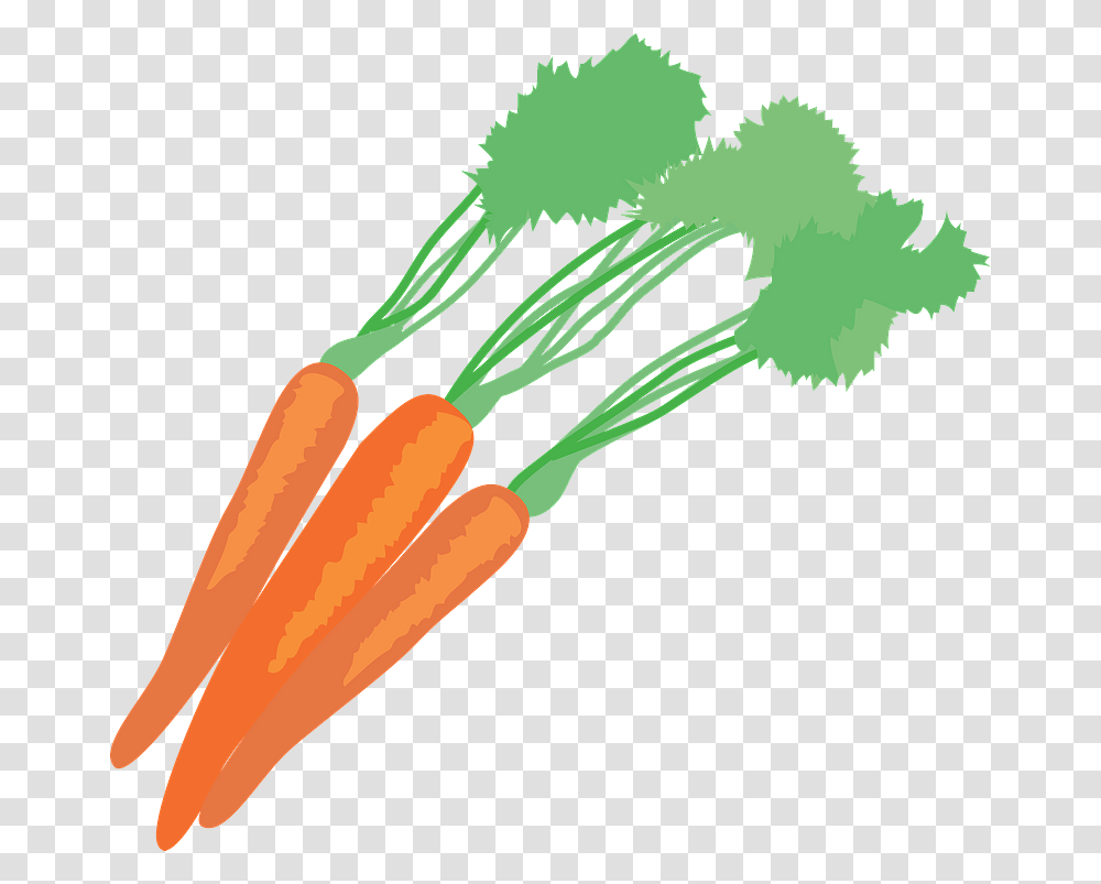 Carrot Vegetable Food Clipart Carrot, Plant Transparent Png