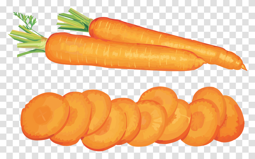 Carrot, Vegetable, Plant, Food, Hot Dog Transparent Png