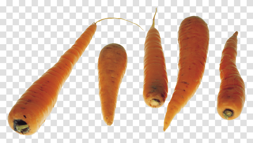 Carrot, Vegetable, Plant, Food, Hot Dog Transparent Png