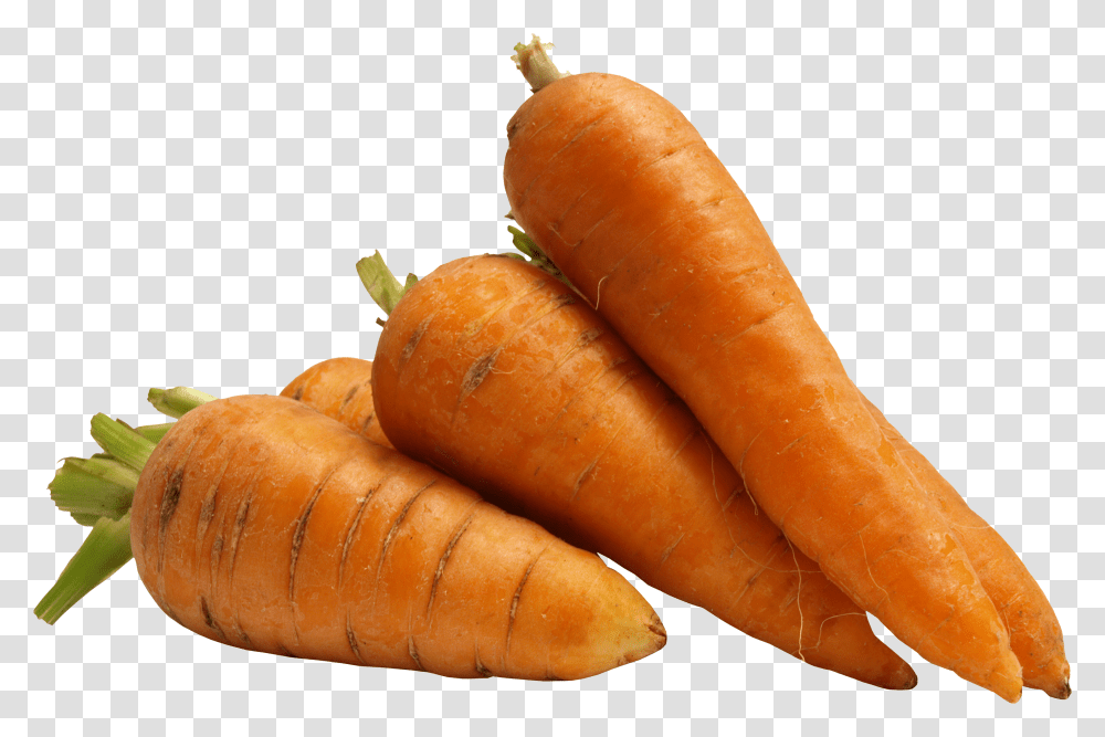 Carrot, Vegetable, Plant, Food, Hot Dog Transparent Png