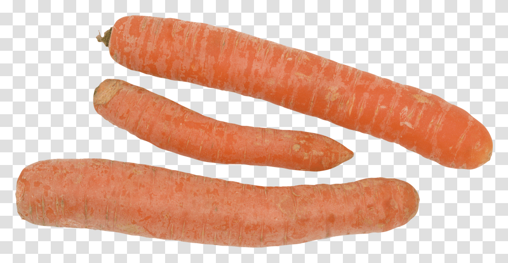 Carrot, Vegetable, Plant, Food, Hot Dog Transparent Png