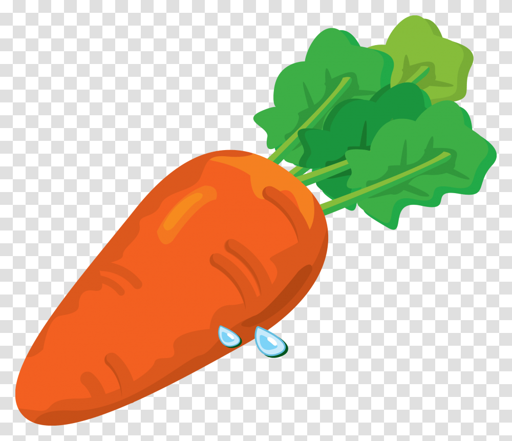 Carrot, Vegetable, Plant, Food Transparent Png