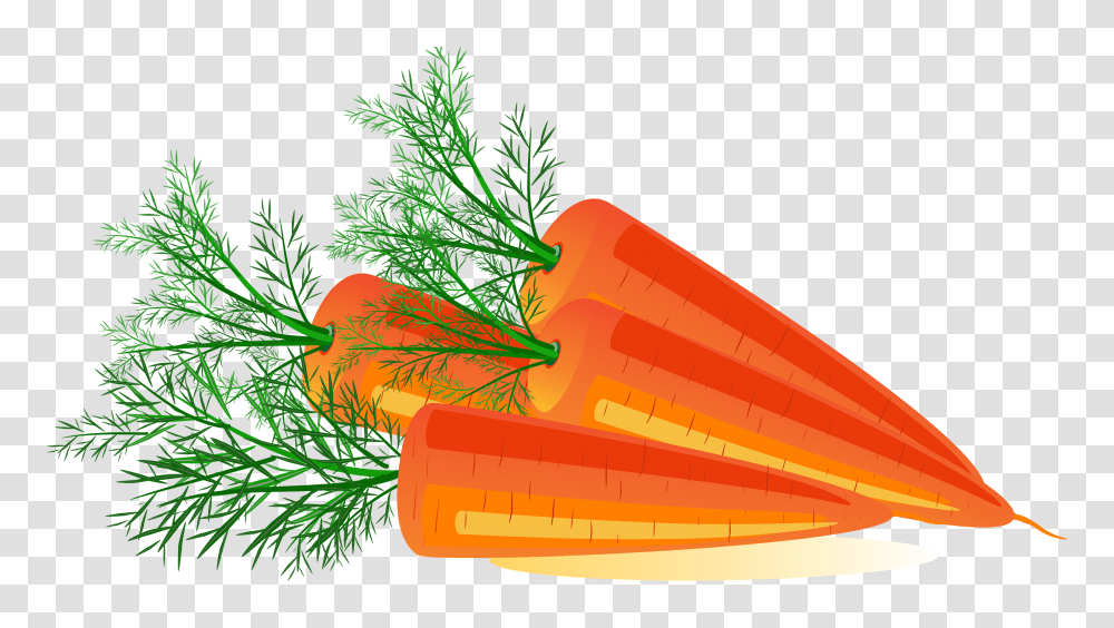 Carrot, Vegetable, Plant, Leaf, Bird Transparent Png