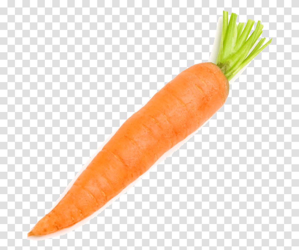 Carrot Vegetable Radish Carrot On A White Background, Plant, Food Transparent Png