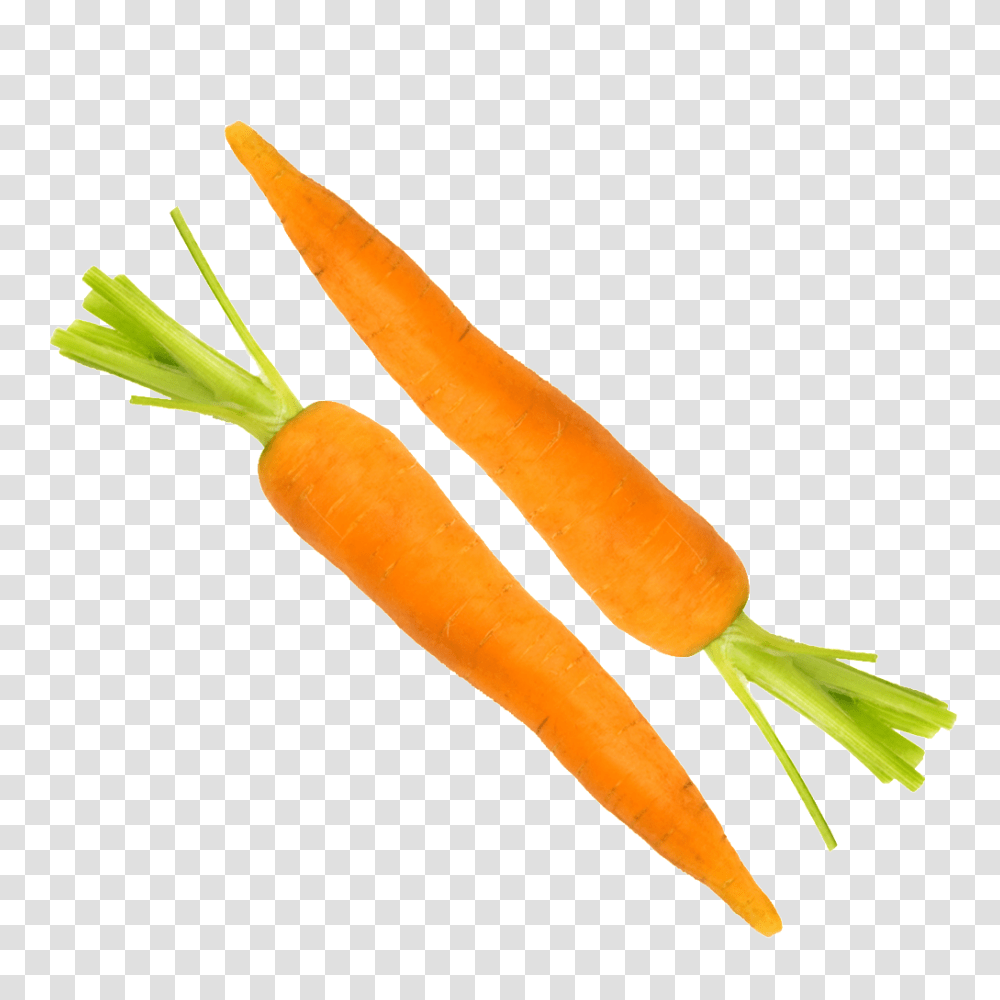 Carrot Vegetables Free Download Vector, Plant, Food, Root, Dynamite Transparent Png