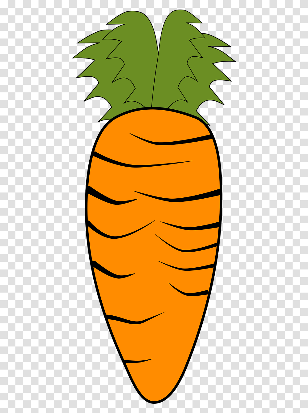 Carrot Vegetables Orange Food Picpng Morcov Clipart, Plant, Root Transparent Png