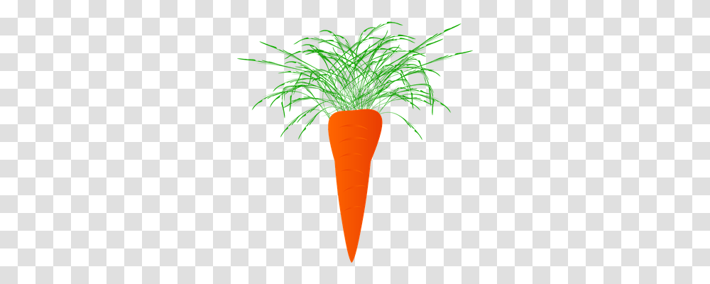 Carrots Nature, Plant, Vegetable, Food Transparent Png