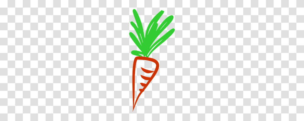 Carrots Nature, Plant, Food, Tree Transparent Png